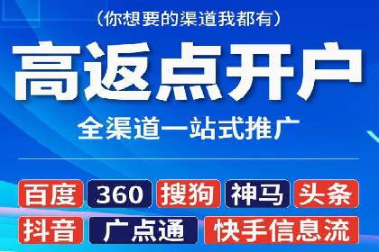 大型SEM服务公司案例分析